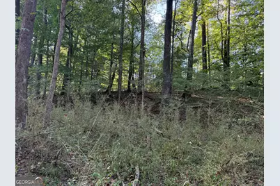 1284 Highway 18 W, Barnesville, GA 30204 - Photo 113