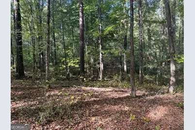 1284 Highway 18 W, Barnesville, GA 30204 - Photo 57