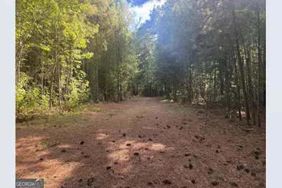 1284 Highway 18 W, Barnesville, GA 30204 - Photo 39
