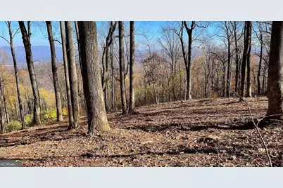 0 Andes Ridge, Jasper, GA 30143 - Photo 3