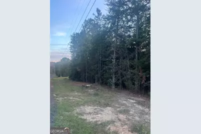0 Andrews Subdivision, Lavonia, GA 30553 - Photo 3