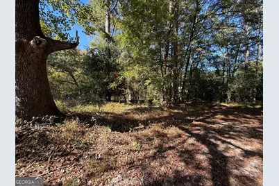 0 Tingle Road, Lagrange, GA 30240 - Photo 7