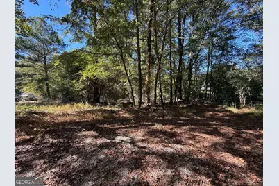 0 Tingle Road, Lagrange, GA 30240 - Photo 5