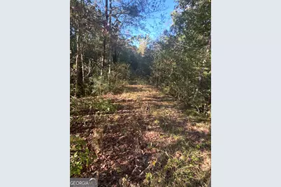 939 Chappell Mill Road, Milner, GA 30257 - Photo 1