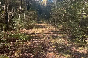 939 Chappell Mill Rd, Milner, GA 30257 - Photo 1
