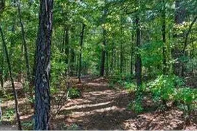 709 Birdie Road, Griffin, GA 30223 - Photo 5