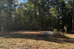 212 Hillshore Ct, Lavonia, GA 30553 - Photo 1