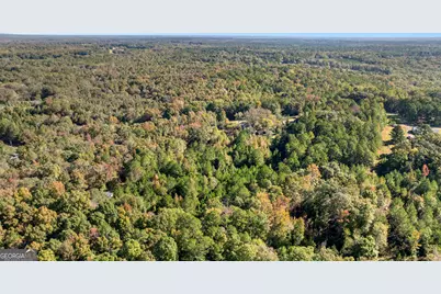 1394 Trice Cemetery Road, Thomaston, GA 30286 - Photo 47