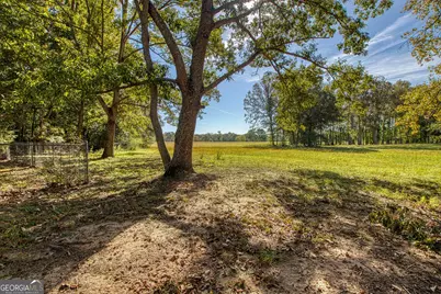 379 Line Creek Road, Senoia, GA 30276 - Photo 61