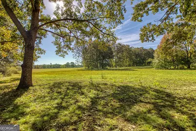 379 Line Creek Road, Senoia, GA 30276 - Photo 63