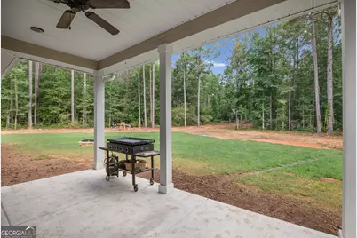 242 Roberts Pond Road, Senoia, GA 30276 - Photo 33