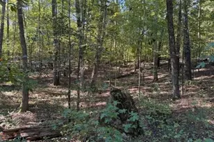 297 Burg Rd, Jenkinsburg, GA 30234 - Photo 7