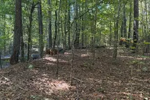 297 Burg Rd, Jenkinsburg, GA 30234 - Photo 3