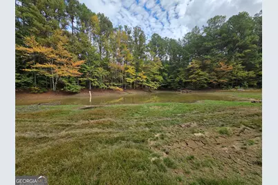 0 Wadley Street, Greenville, GA 30222 - Photo 7
