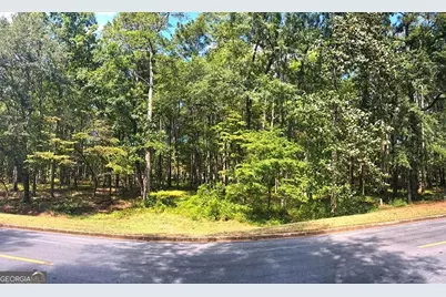 1580 Club Drive, Greensboro, GA 30642 - Photo 11