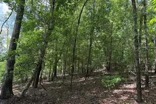 045 Little Sandy Creek Rd, Toomsboro, GA 31090 - Photo 1