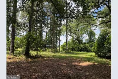 045 Little Sandy Creek Road, Toomsboro, GA 31090 - Photo 7