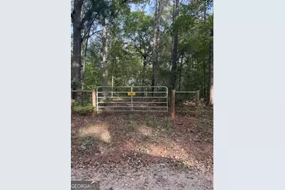 0 Louie Copeland Road, Shiloh, GA 31826 - Photo 1