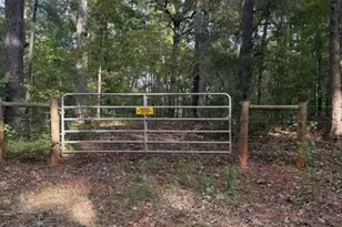 0 Louie Copeland Rd, Shiloh, GA 31826 - Photo 1