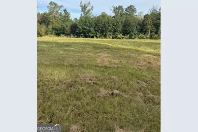 0 Louie Copeland Road, Shiloh, GA 31826 - Photo 3
