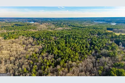 0 New Hope Road, Locust Grove, GA 30248 - Photo 13