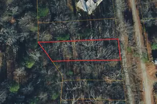 0 Loreau Trail, Lavonia, GA 30553 - Photo 1