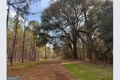 013 State Route 45 Highway, White Plains, GA 31780 - Photo 3