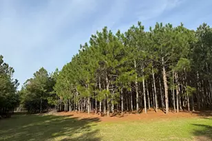013 State Route 45 Hwy, White Plains, GA 31780 - Photo 1