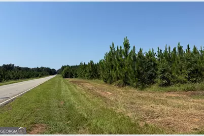 003 Barge Road, Lumpkin, GA 31815 - Photo 3