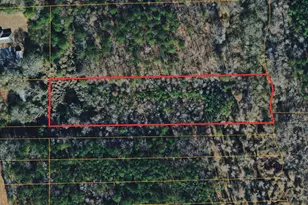 0 Roosevelt Hwy, Greenville, GA 30222 - Photo 1