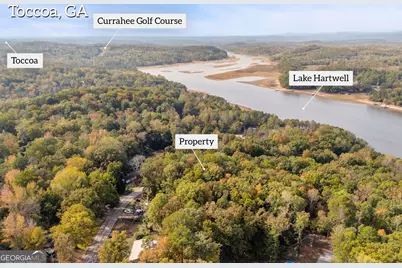 0 Cardinal Lane, Toccoa, GA 30577 - Photo 11