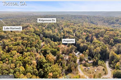 0 Cardinal Lane, Toccoa, GA 30577 - Photo 5