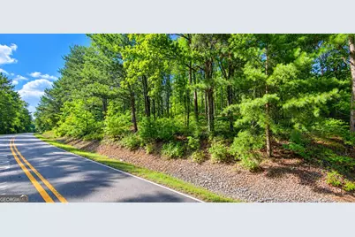 0 Culp Lake Road #TRACT A, Cedartown, GA 30125 - Photo 3
