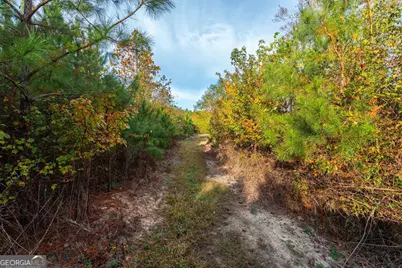 0 Bremen Mt Zion Road, Waco, GA 30182 - Photo 5