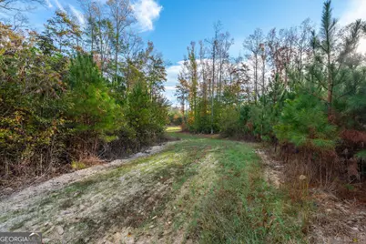 0 Bremen Mt Zion Road, Waco, GA 30182 - Photo 7