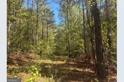 0 Jabez Poyner Road, Carlton, GA 30627 - Photo 19
