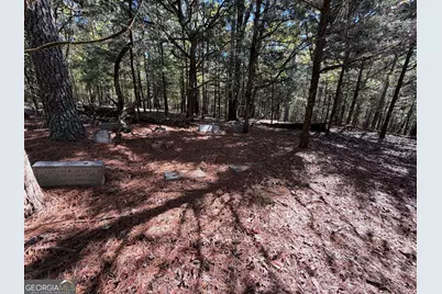 0 Jabez Poyner Road, Carlton, GA 30627 - Photo 13