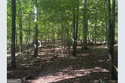 0 Jabez Poyner Road, Carlton, GA 30627 - Photo 65