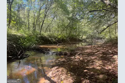 0 Jabez Poyner Road, Carlton, GA 30627 - Photo 61