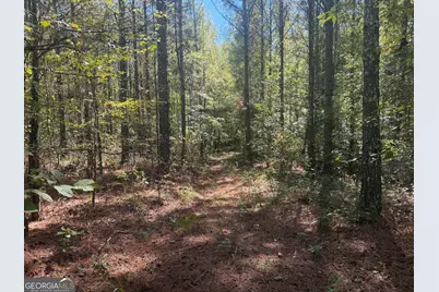 0 Jabez Poyner Road, Carlton, GA 30627 - Photo 31