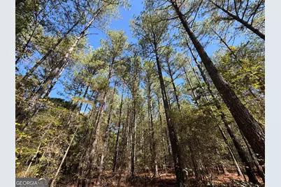 0 Jabez Poyner Road, Carlton, GA 30627 - Photo 27