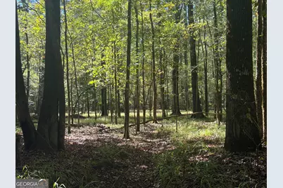 0 Jabez Poyner Road, Carlton, GA 30627 - Photo 35