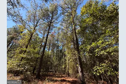 0 Jabez Poyner Road, Carlton, GA 30627 - Photo 9