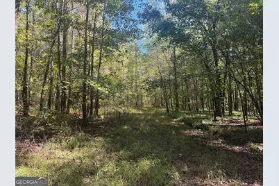 0 Jabez Poyner Road, Carlton, GA 30627 - Photo 37