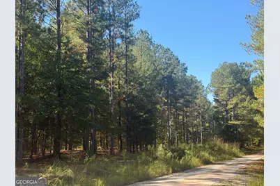 0 Jabez Poyner Road, Carlton, GA 30627 - Photo 7