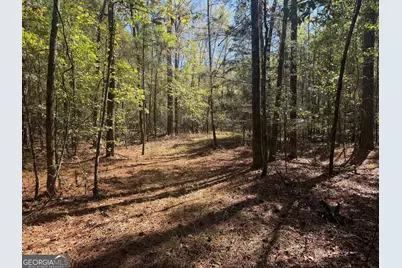 0 Jabez Poyner Road, Carlton, GA 30627 - Photo 75
