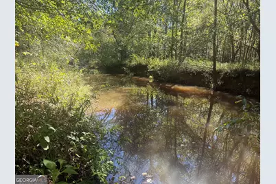 0 Jabez Poyner Road, Carlton, GA 30627 - Photo 51