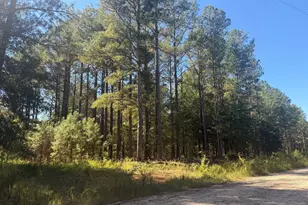 0 Jabez Poyner Rd, Carlton, GA 30627 - Photo 1