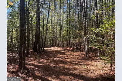 0 Gene Smith Road, Carlton, GA 30627 - Photo 9