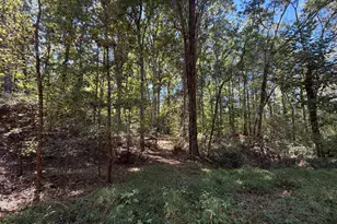 0 Gene Smith Rd, Carlton, GA 30627 - Photo 1